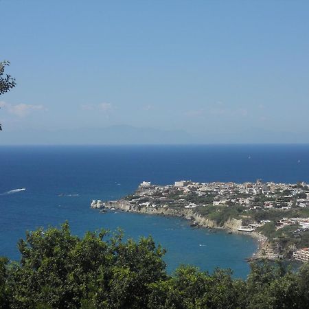 Hotel Sweetposeidon Forio di Ischia Esterno foto