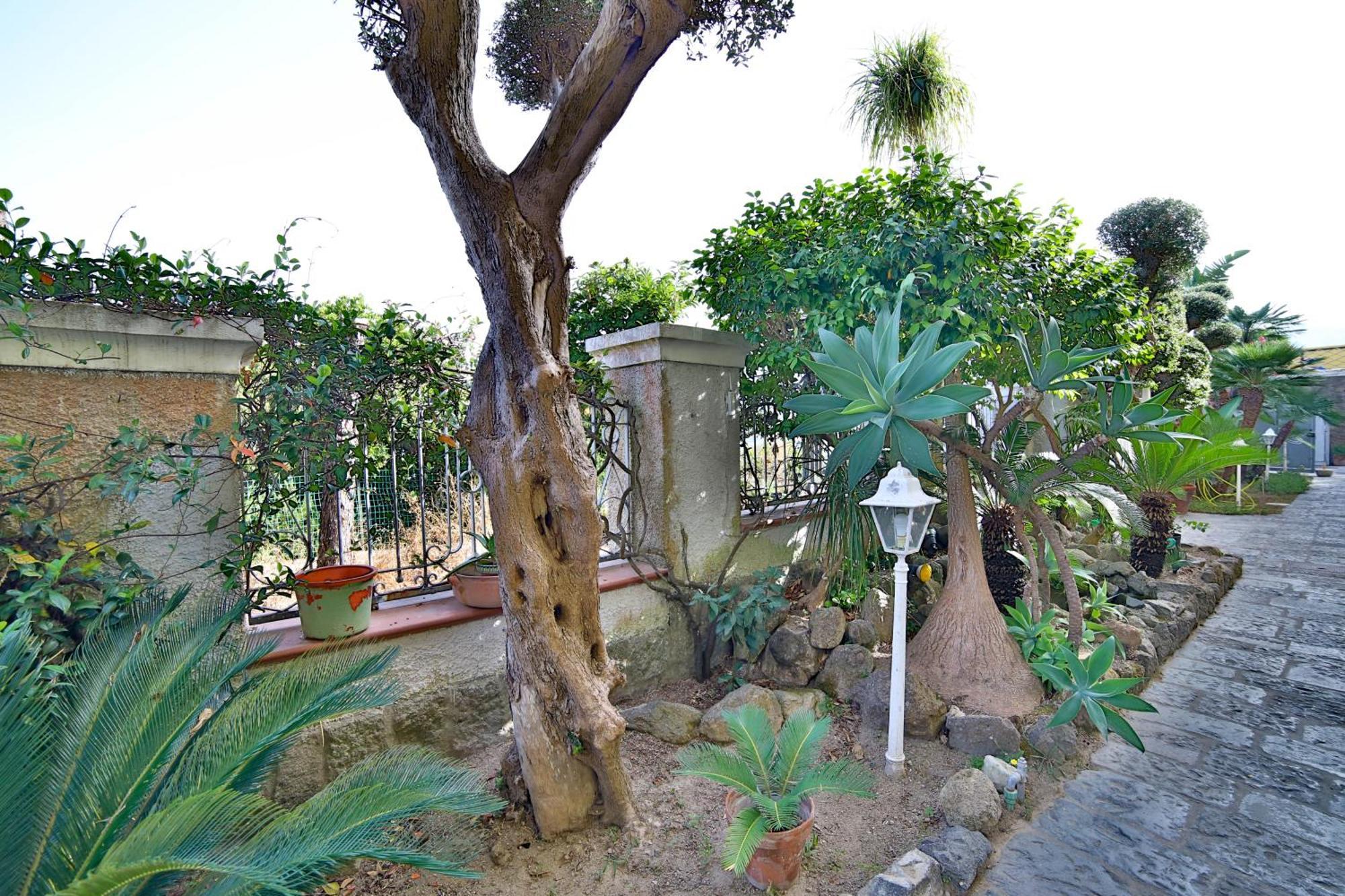 Hotel Sweetposeidon Forio di Ischia Esterno foto